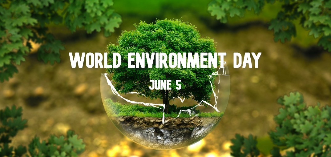 World Environment Day Survey